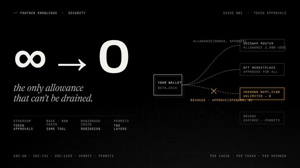 Panther Knowledge cover for guide 001: an infinity sign becoming zero, beside one wallet's allowances to a router, a marketplace, a revoked unknown address and an expired Permit2 approval.
