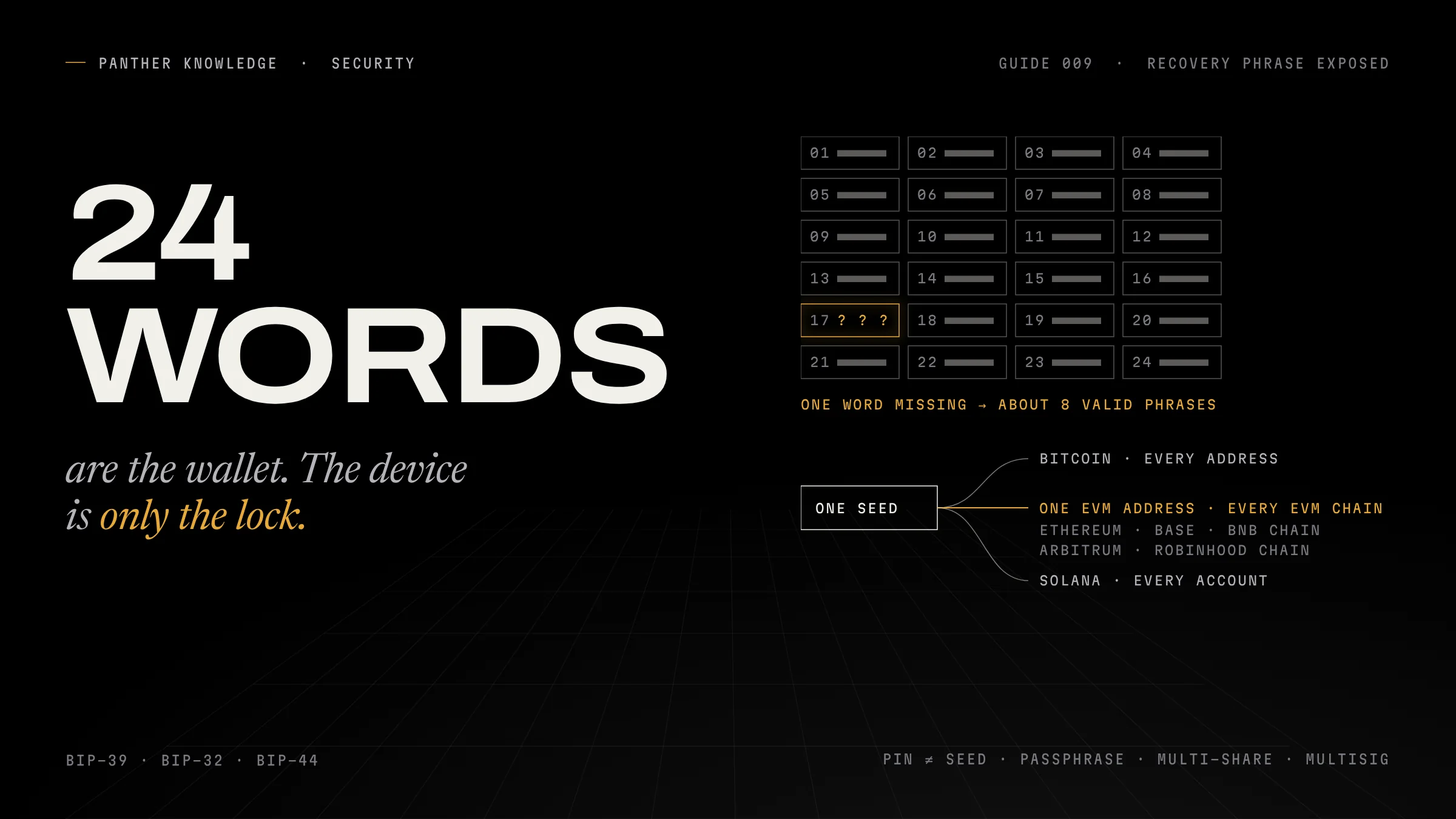 Panther Knowledge cover for guide 009: 24 words beside a grid of masked word slots with one missing, and one seed branching to Bitcoin, every EVM chain and Solana.